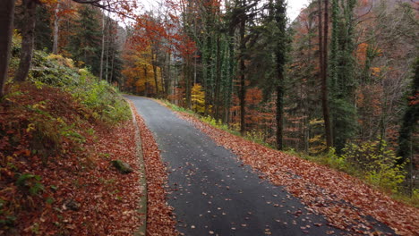 Autumn-road-in-mountain-forest,-yellow-and-red-foliage-trees