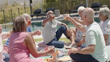 happy diverse senior friends drinking a toast at picnic in sunny garden, unaltered, in slow motion