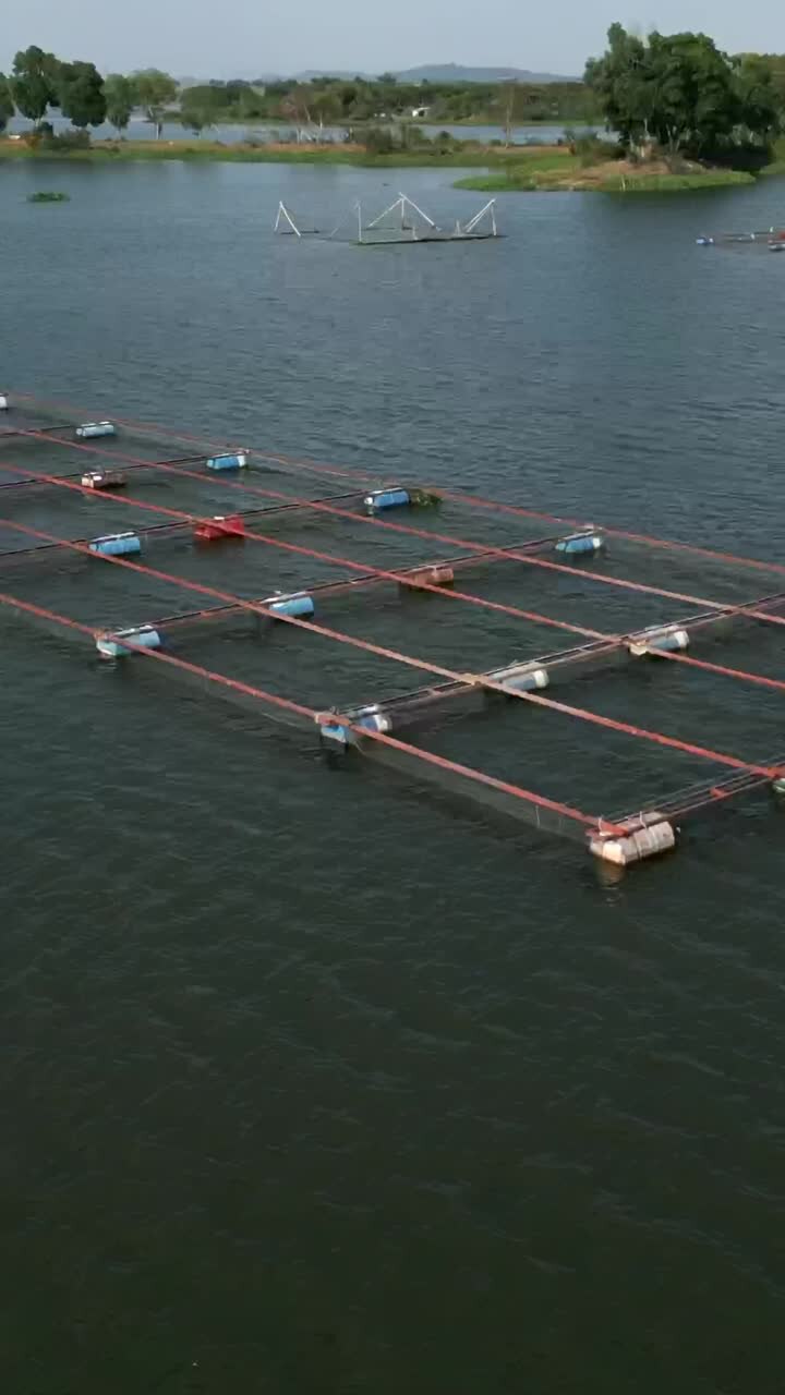 Fish Farm in a Lake
