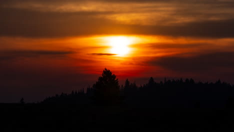 dramatic sunset over silhouetted forest