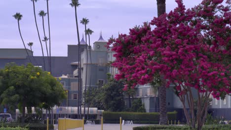 Santa-Anita-Park-Clubhouse-in-Arcadia,-California-with-stable-video-medium-shot-showing-flowers