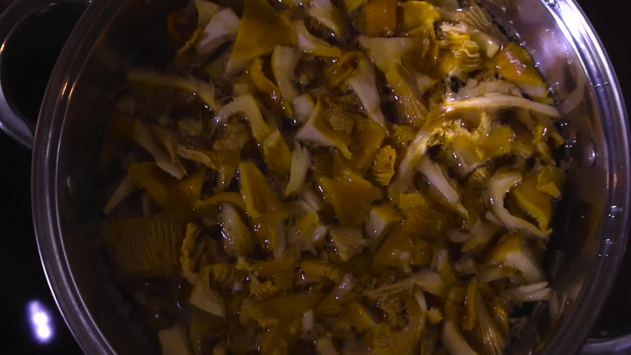 Vista de cima de cogumelos Golden Chanterelle fatiados e limpos, recém-colhidos, fervendo e cozinhando em uma panela de aço em um fogão de cozinha. Bolhas sobem lentamente entre os cogumelos