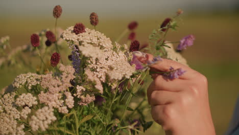 close-up of delicate wildflower bouquet swaying in gentle breeze while someone arranges blooms with blurred background, emphasizing delicate petals and vibrant natural colors on a sunny day