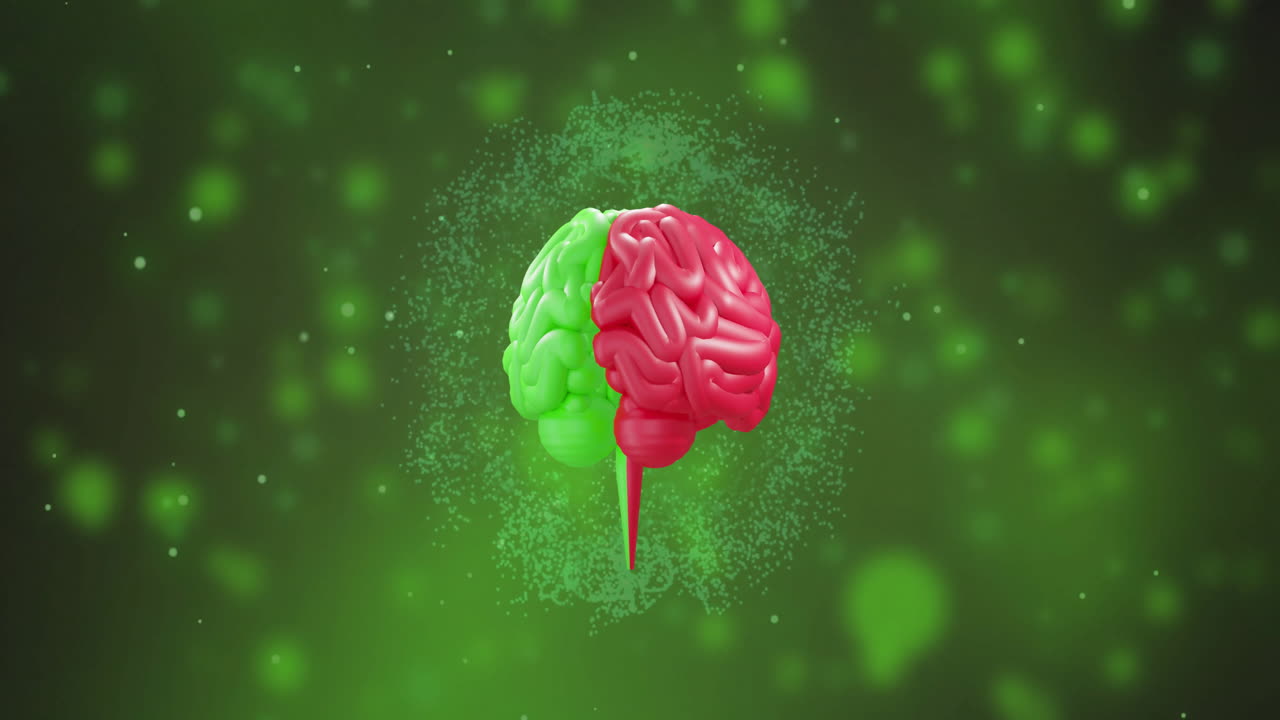 Animation of digital brain spinning over light spots