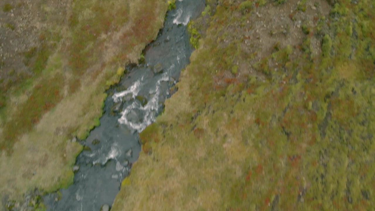 Vista aerea di un fiume che scorre attraverso una valle muschiosa