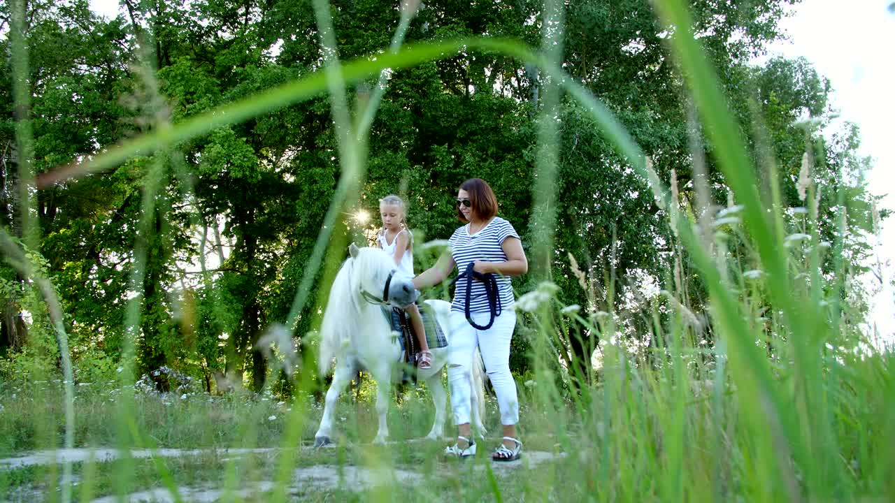 madre y hija están caminando por el campo, la hija está montando un caballo, la madre está sosteniendo un caballo para una brida. alegres, felices vacaciones familiares. al aire libre, en verano, cerca del bosque