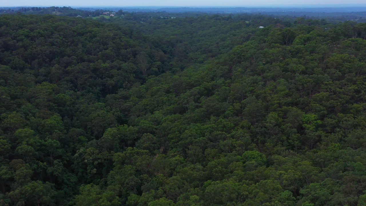 antena volando bajo sobre asombrosos árboles verdes rural sydney australia, casas y árboles verdes densos bosques montañosos en un día claro