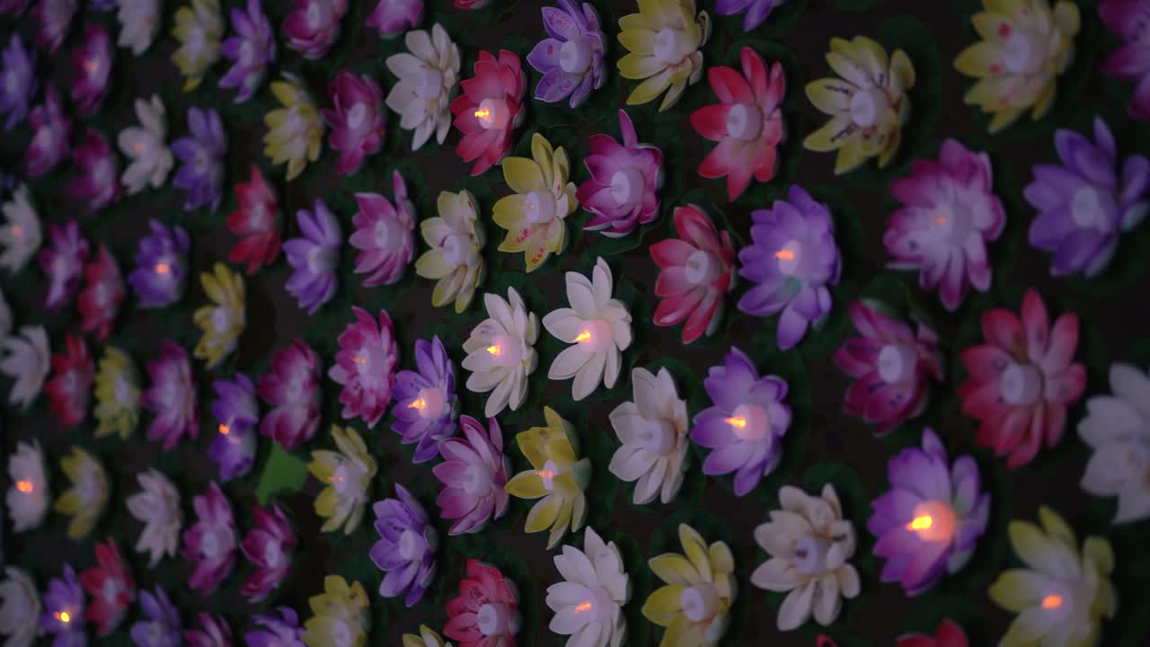 vídeo vertical - coloridas linternas de agua junto al lago