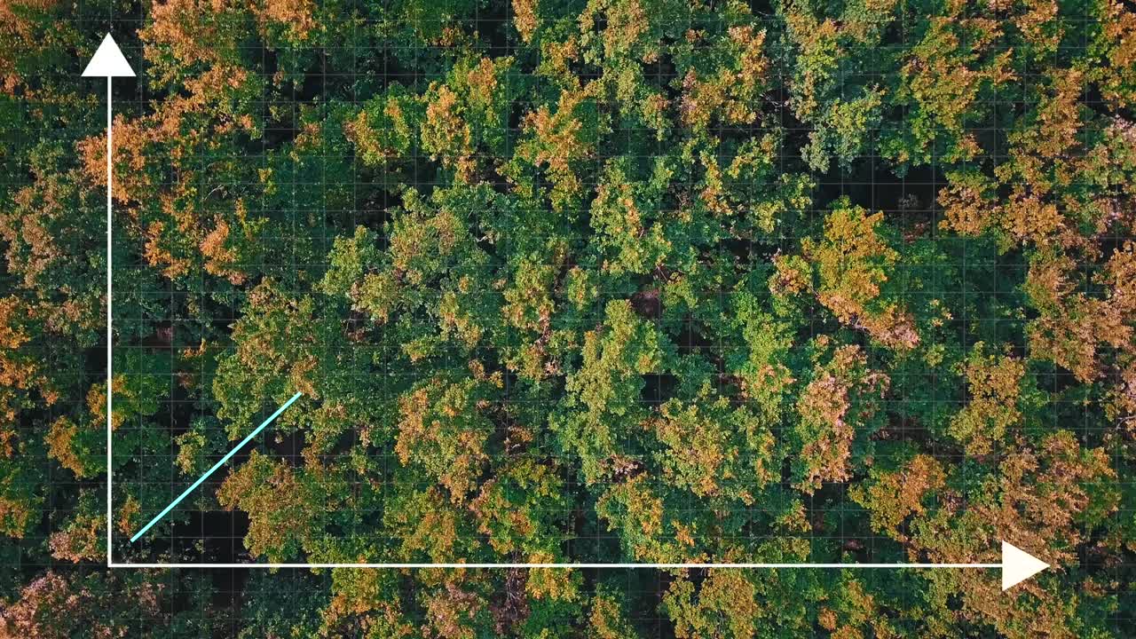 vista superior del bosque verde épico y diagrama abstracto que muestra el crecimiento del desastre de incendios forestales en el mundo.