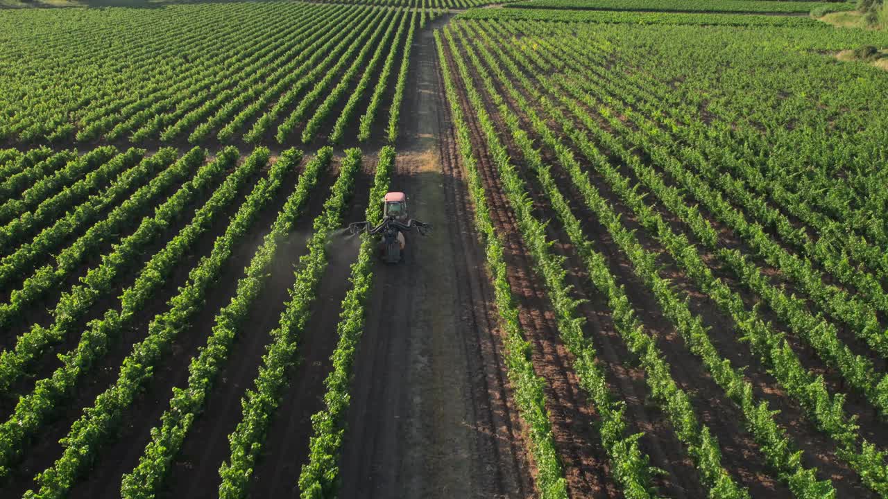 A través de una vista aérea de dron, podemos ver el paisaje de los viñedos franceses cerca de Montpellier, Sète y la Costa Azul, así como los efectos alarmantes de la contaminación química y la degradación ambiental
