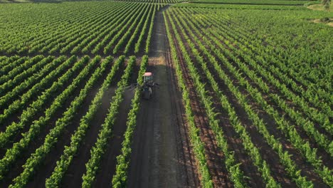 attraverso la vista aerea del drone, possiamo vedere il paesaggio dei vigneti francesi vicino a montpellier, sète e côte d'azur, così come gli effetti allarmanti dell'inquinamento chimico e del degrado ambientale