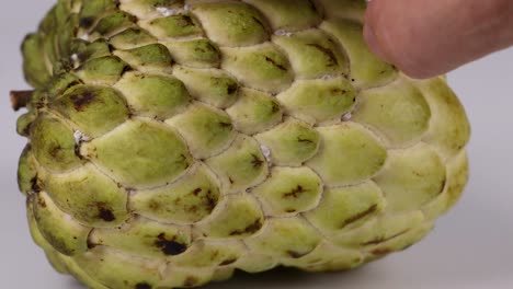 detailed view of fingers interacting with the textured surface of a custard apple.