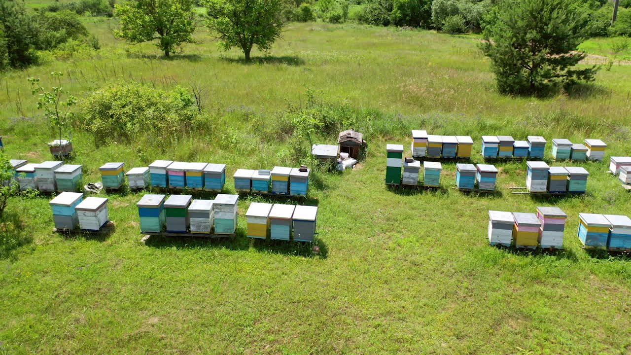Bee houses in the garden. Wooden hives stand on green grass on apiary in summer. Organic honey production. Aerial view.