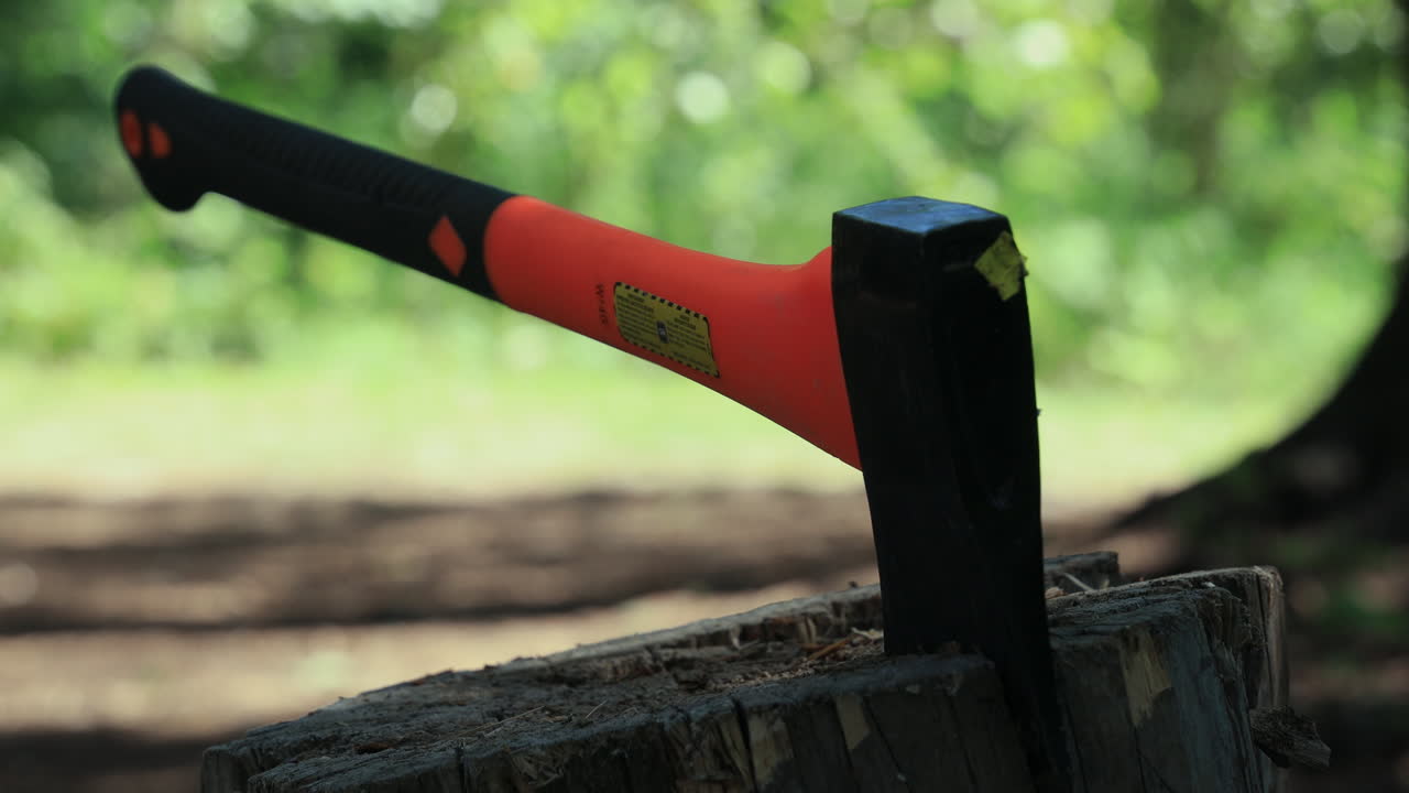 나무 베다가 도끼로 그루터기에 박고 도망가는 남자