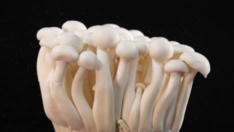 a cluster of enoki mushrooms is sprayed with water in slow motion, illuminated by studio lighting, set against a dark, seamless background
