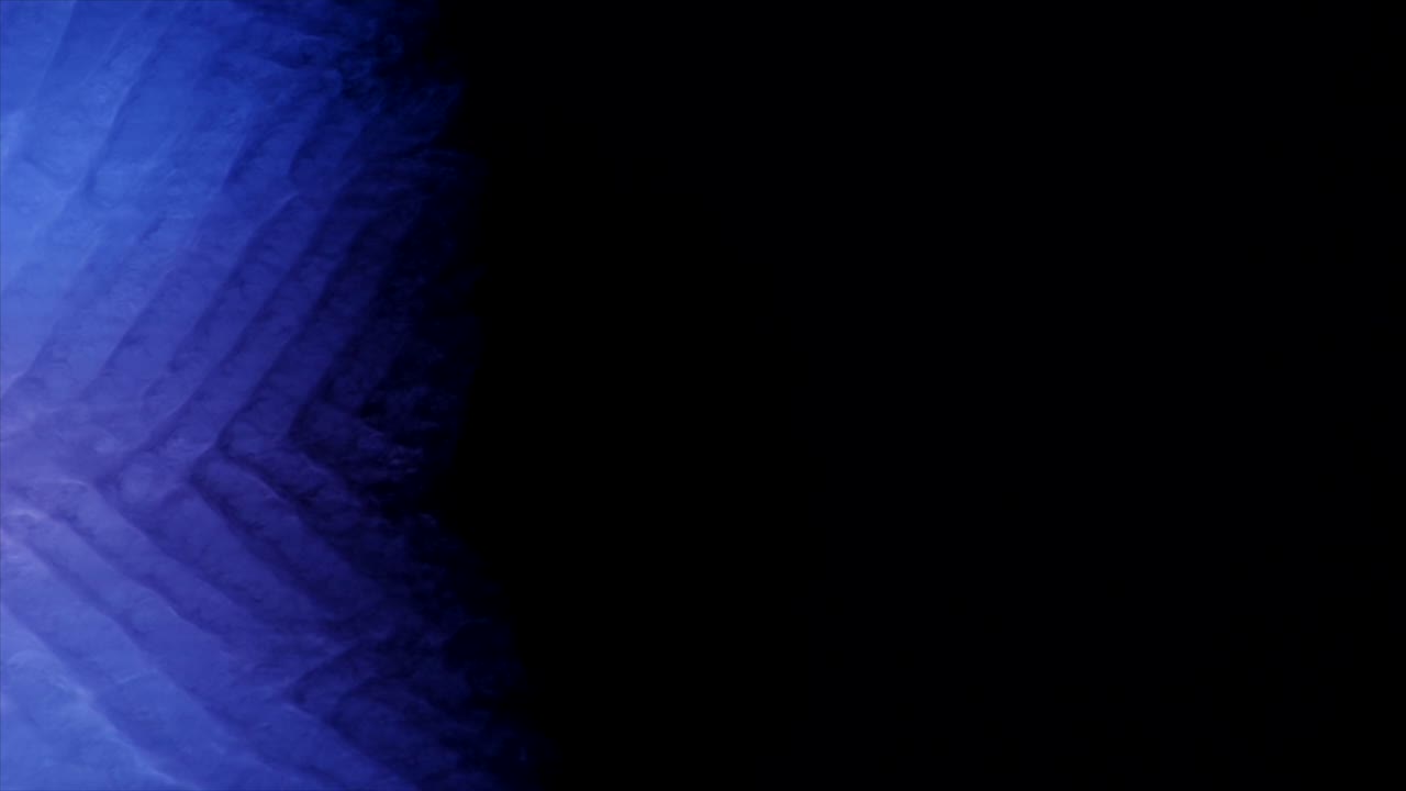 chevrones púrpuras pulsantes entran en el escenario a la izquierda