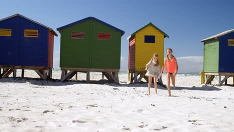 siblings having fun in the beach 4k