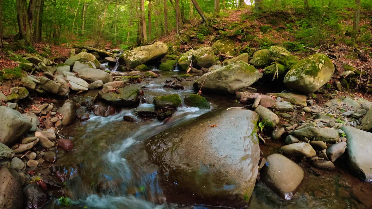 hermoso timelapse de la corriente del bosque en el denso bosque apalache durante el verano