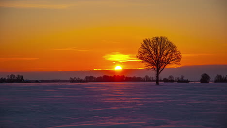 time lapse shot of yellow sunrise lighting over snowy ice storm in winter