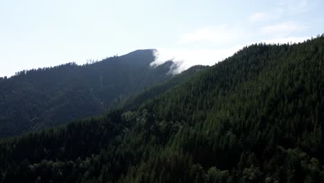 tracking below a high mountain forest ridge covered with advection fog, aerial