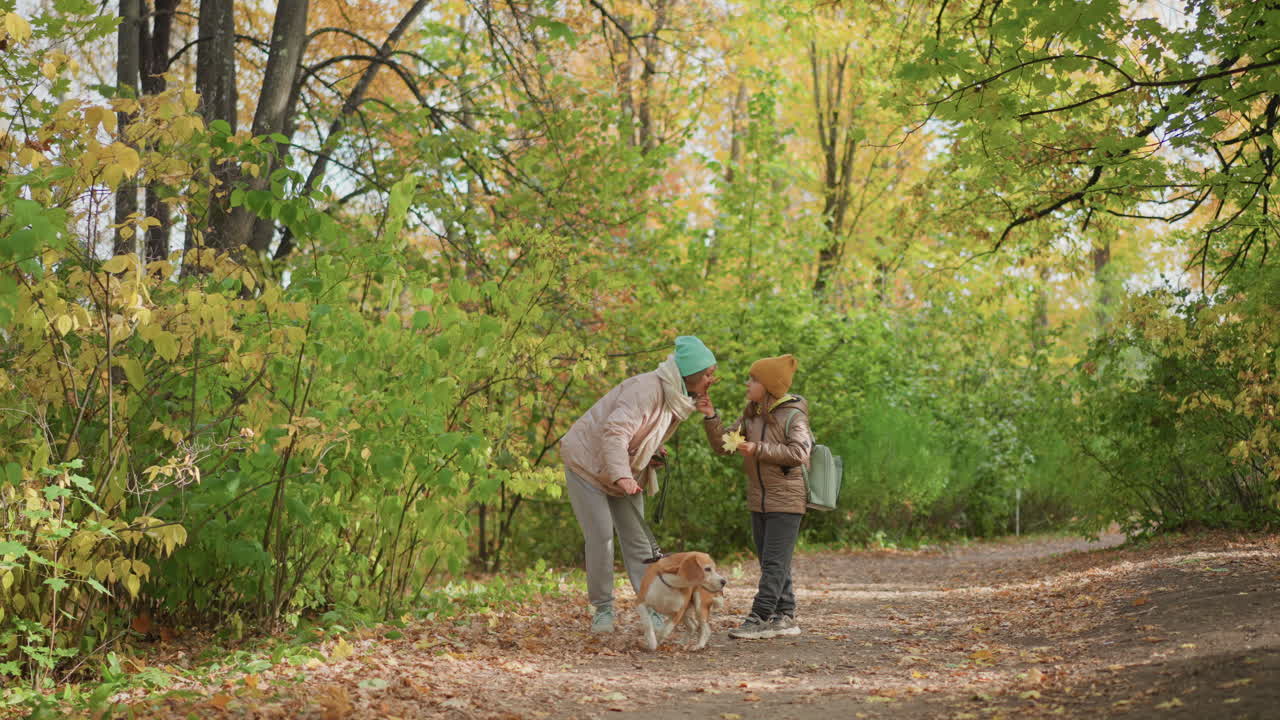 mother and child enjoy peaceful moment in colorful forest, gently interacting with dog on leash, surrounded by golden leaves and trees on quiet path during autumn afternoon walk outdoors