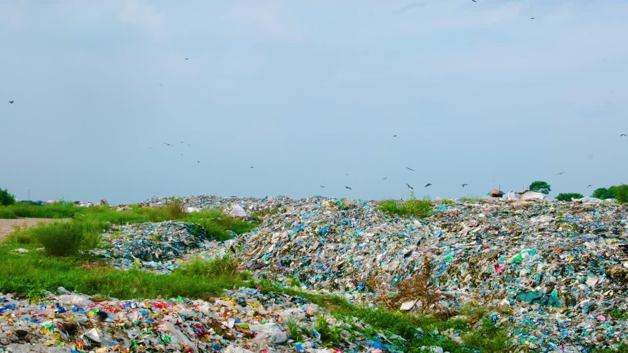 쓰레기 매립지 에 쌓인 쓰레기 위 에 날아다니는 새 들 의 느린 움직임