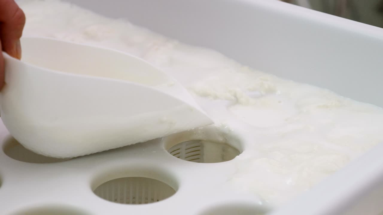 리코타를 모형에 넣는 것 - 유제품 치즈 공장