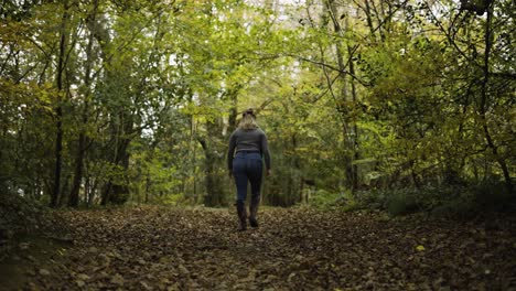 active woman walking on path through dense green woodland in lanhydrock, cornwall, uk