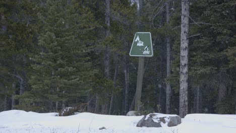 No-Se-Permiten-Campistas-Ni-Fuego-En-El-Bosque-En-Invierno-Con-Nevadas