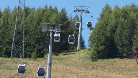 cable cars moving through a forested area