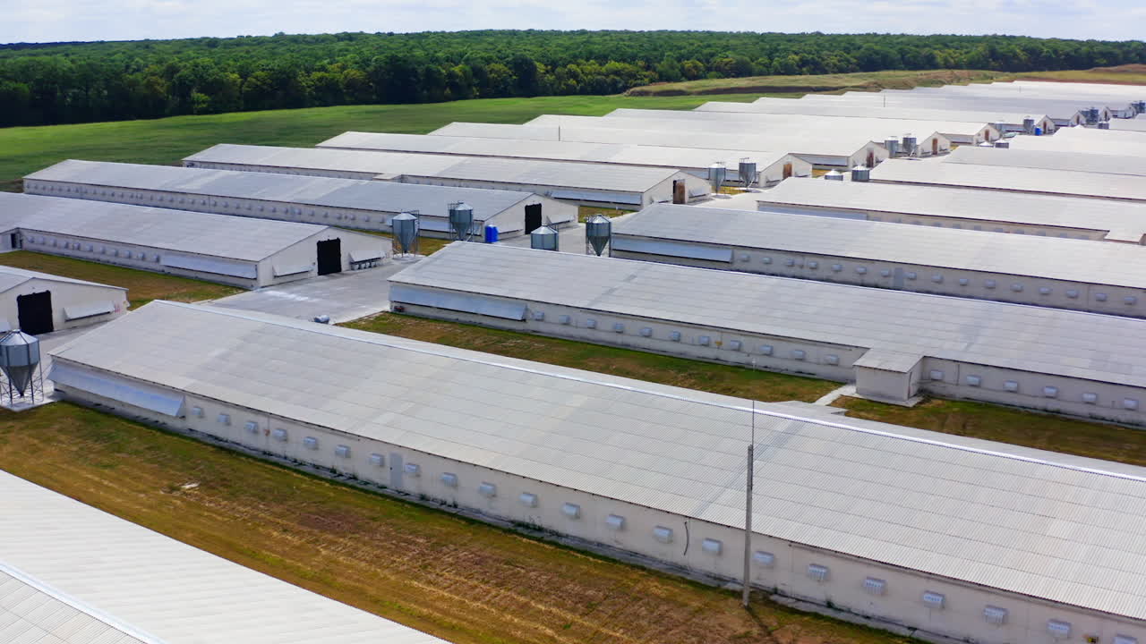 White buildings for agribusiness on green forest background. Modern farmhouses for livestock. Large territory of a new farm among nature.