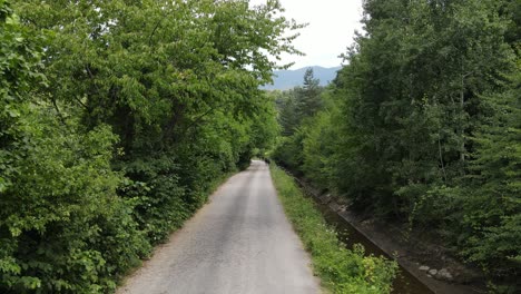 Asphalt-Road-Trees-Both-Sides