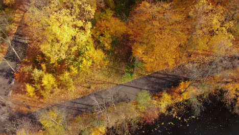 AERIAL-forest-in-amazing-autumn-shades-with-road-hiding-under-treetops