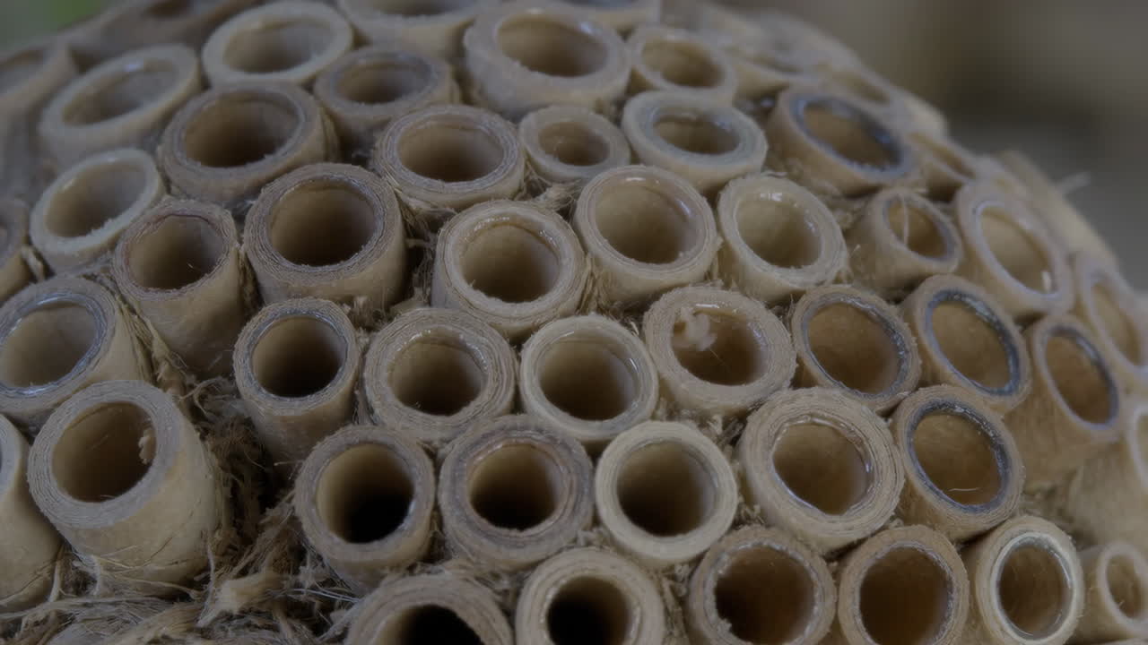 Close-up of an insect hotel with circular tubes