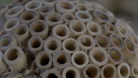 close-up of an insect hotel with circular tubes