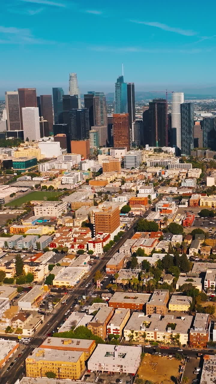 Los Angeles skyscrapers standing out from low architecture of the metropolis. Sunny day panorama at backdrop of blue sky. Vertical video