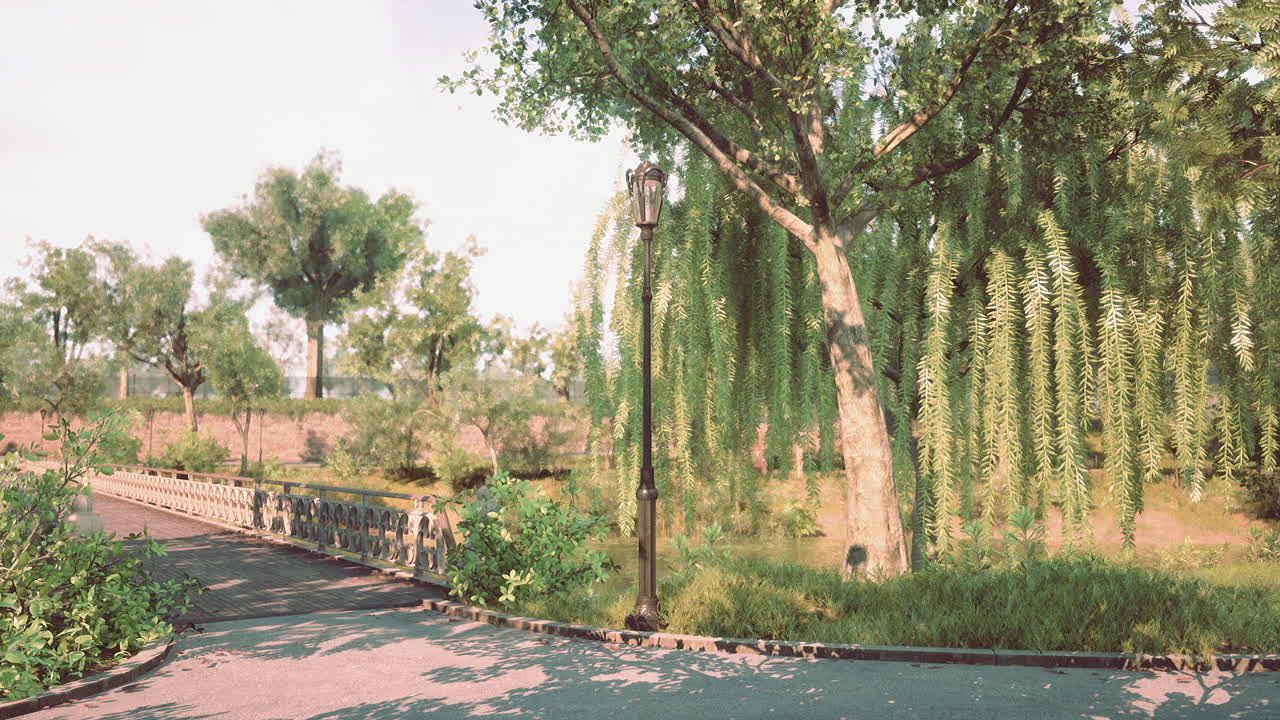 спокойная сцена деревянного моста, ведущего через парк с деревом ивы