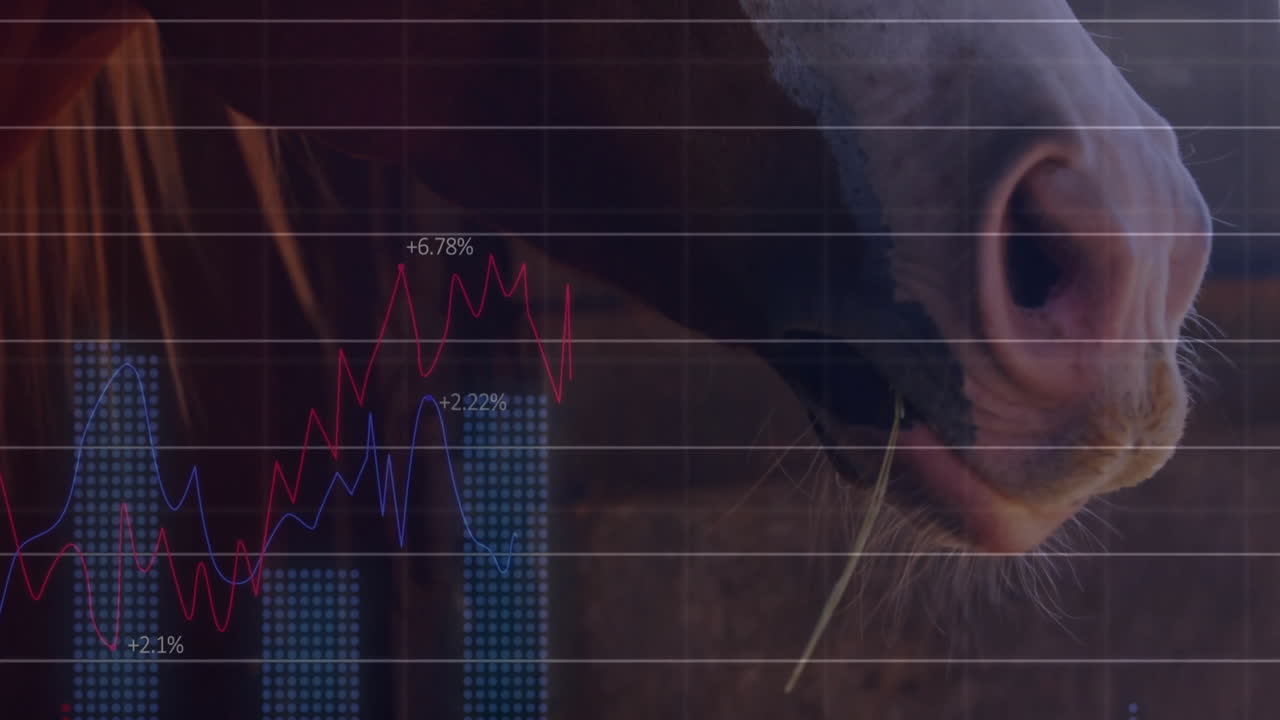 animación del procesamiento de datos financieros a través de un caballo