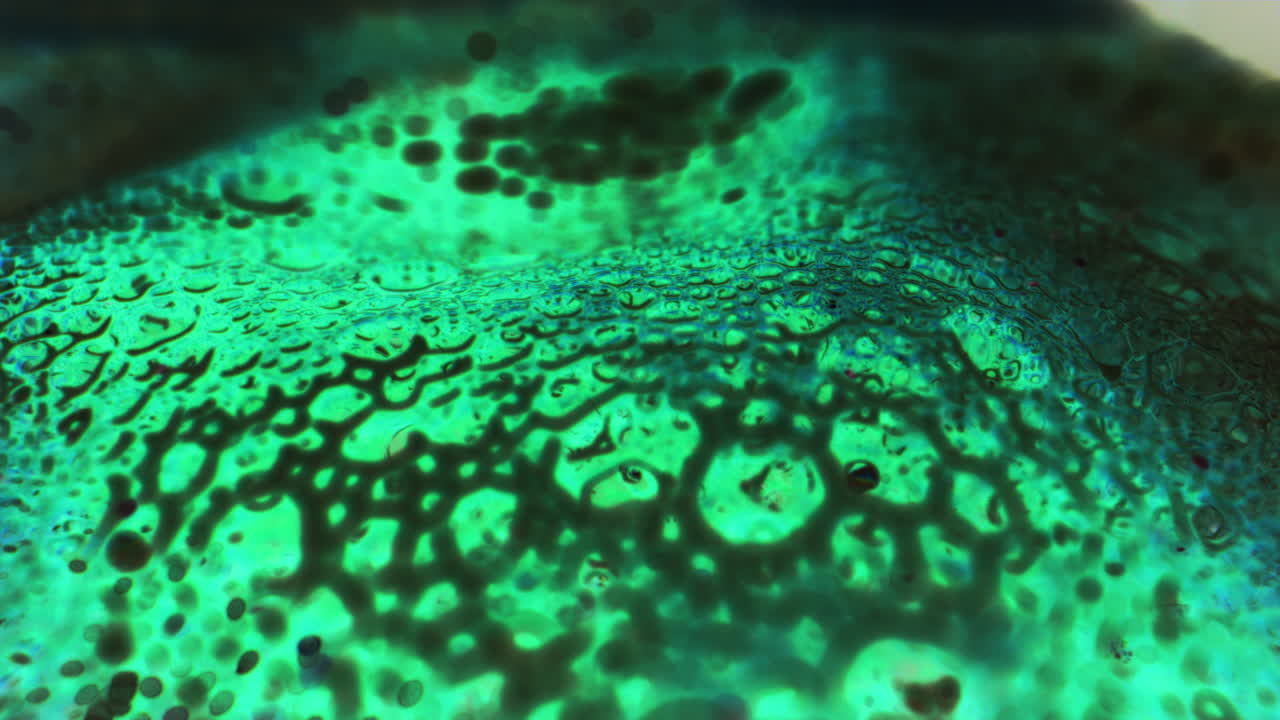 Emerald Green Liquid Abstract
