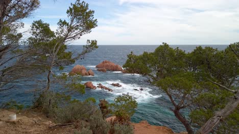 Mediterranean-rocky-sea-landscape-beach-shore-waves-breaking-dry-trees-branches,-slow-motion