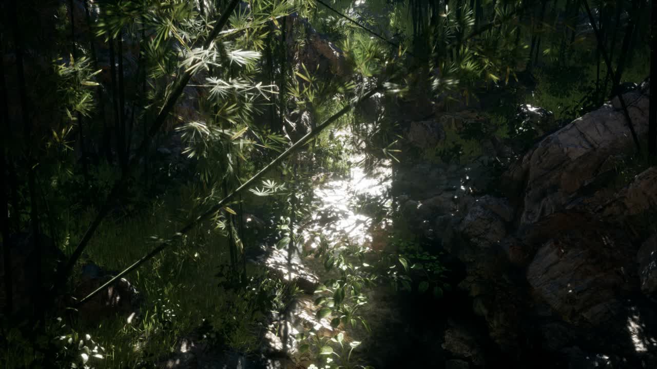 돌이 있는 연못의 연안 근처에 있는 울창한 초록색 대나무 잎.