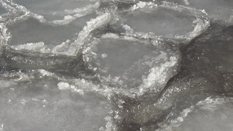 pans of ice bump against each other in gentle swell of northern sea