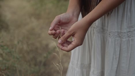 Frauenhände-Erleben-Die-Natur