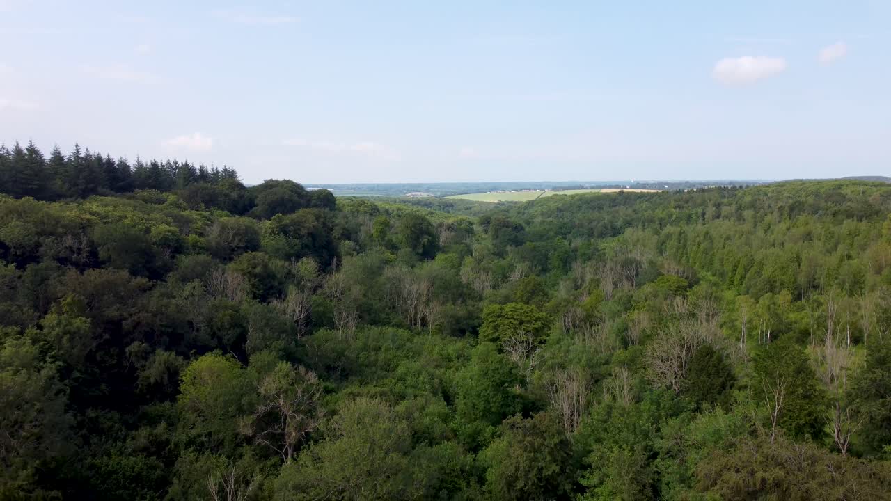 Drone 4K che scende in un'area boschiva in Inghilterra