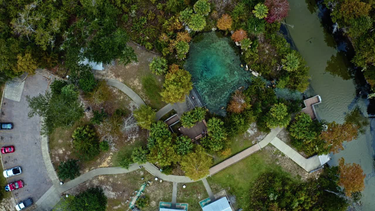 Crystal-blue spring surrounded by trees and walkways near Pitt and Sylvan Springs, Florida, showing calm reflective water and lush subtropical vegetation