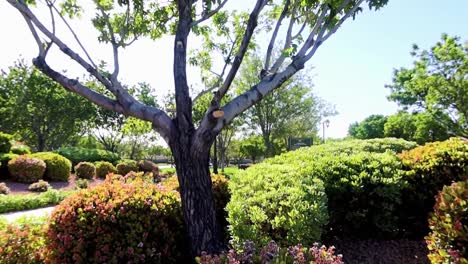 parque en los suburbios con panorama floral