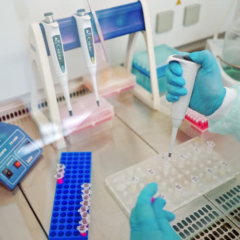 hands in sterile gloves working with test tubes. medical worker fills vials with liquid on the table in the laboratory.