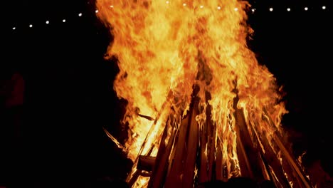 bright blazing bonfire with burning firewood at night in the forest. 4k