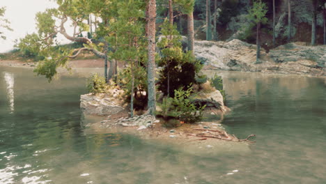 un hermoso lago forestal con una pequeña isla