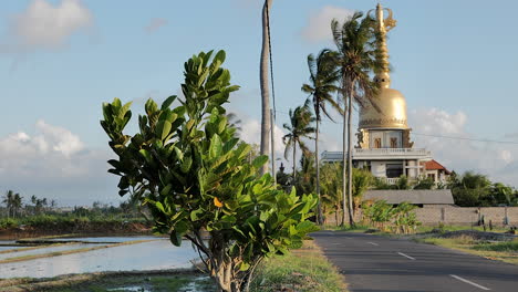 Exotische-Straße-Mit-Weißen-Linien-Neben-Moschee-Und-Kokospalmen